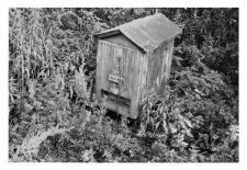 A wooden beehive