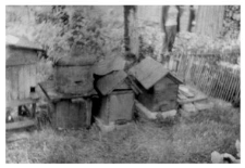 Wooden beehives and a bee skep