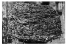 A bee skep