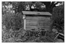 A wooden beehive