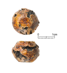 Oblate spheroid weight [2D]