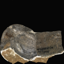 Ożarów flint : 3D documentation