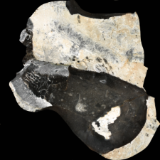 Flint from Spiennes : 3D documentation