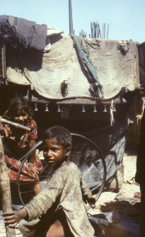Cart on the street in Delhi (Iconographic document)