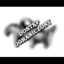 Grzybiany : artifacts