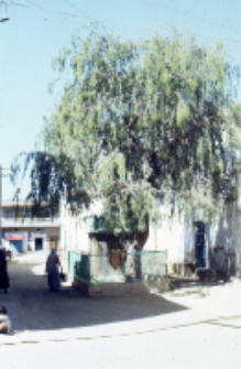 Ulice miasteczka, Gudżarat (Dokument ikonograficzny)