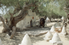 Hindu shrines in Sindh, Pakistan (Iconographic document)