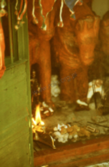 Ołtarz bóstwa Vachchada dada, kachchi rabari (Dokument ikonograficzny)