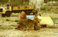 Rainy season, Gujarat (Iconographic document)