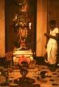 Goddess Kali Temple in New Delhi (Iconographic document)