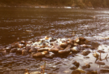 Cremation ground, Rishikesh (Iconographic document)