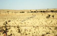 Graves in the Thar desert (Iconographic document)