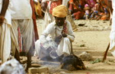 Gauri Dance, Bhils (Iconographic document)