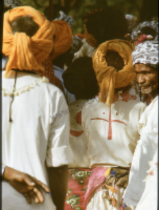Gauri Dance, Bhils (Iconographic document)