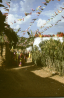 Gauri Dance, Bhils (Iconographic document)