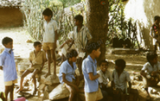 Gauri Dance, Bhils (Iconographic document)