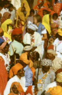 Gauri Dance, Bhils (Iconographic document)