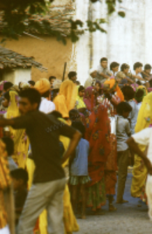 Gauri Dance, Bhils (Iconographic document)