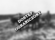 [A team of oxen] [An iconographic document]