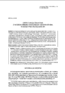 Gr&oacute;b z wagą szalkową z wczesnośredniowiecznego cmentarzyska w Bodzi pod Włocławkiem