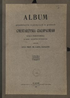 Album przedmiot&oacute;w wydobytych w grobach cmentarzyska ciałopalnego koło Przeworska (z epoki cesarstwa rzymskiego)