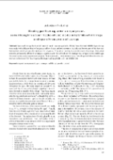 Finding perfect equestrian equipment. Some thoughts about medieval and modern hybrids of stirrups and spurs from Central Europe