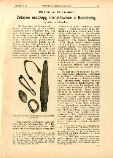 Żelazne oszczepy inkrustowane z Kamienicy, w pow. jarosławskim