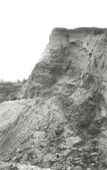 Wit&oacute;w, powiat Pińcz&oacute;w : fotografie