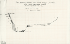 Profile r&oacute;żne