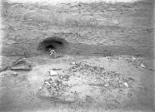 Stanowisko Horodok II : skupisko wyrob&oacute;w krzemiennych