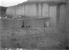 Stanowisko Horodok II : skupienie kości