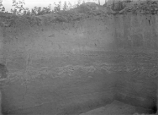 Stanowisko Horodok VII : profil ściany wykopu (zachodniej)