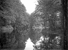 Gr&oacute;dek : rzeka Uście