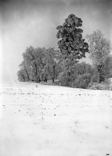 Gr&oacute;dek i okolice
