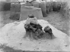 Horodok stanowisko II : skupisko kości