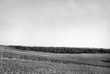 Żydowszczyzna - Ruml&oacute;wka : zdjęcia krajobrazowe bez dokładnego opisu