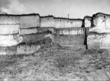 Nehrybka, powiat Przemyśl : profil ściany wykopu