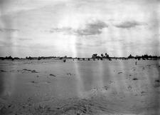 Świdry Wielkie I : stanowisko wydmowe (numer inwentarzowy 3)