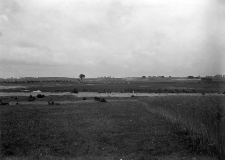 Stanowisko wydmowe (numer inwentarzowy 16)