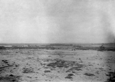 Stanowisko wydmowe (numer inwentarzowy 26)