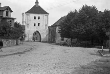 Zdjęcie krajobrazowe