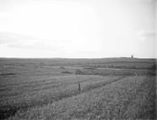 Polesie : zdjęcie krajobrazowe