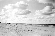 Polesie : zdjęcie krajobrazowe