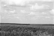 Miejscowość nieokreślona : zdjęcie krajobrazowe