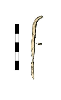 Nail, headless, fragment