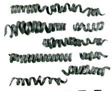 band-shaped bracelet (Skarbienice) - chemical analysis