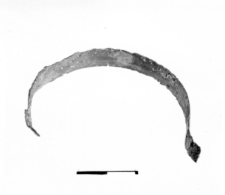 bracelet fragment (Pilszcz) - chemical analysis