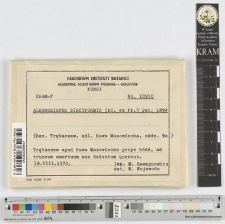 Aleurodiscus disciformis (DC. ex Fr.) Pat. 1894