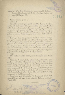 Pardosa Cavannae, nuovo Araneide italiano