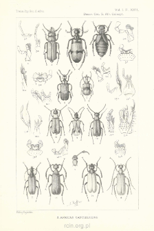 Descriptive catalogue of the Coleoptera of South Africa